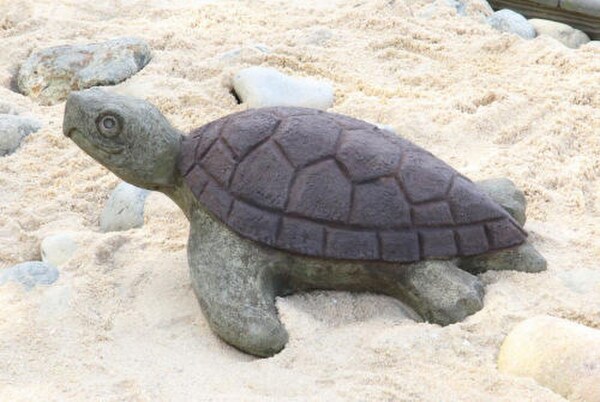 Manni the Sea Turtle Outdoor Statue Cement Sand Realistic Statuary